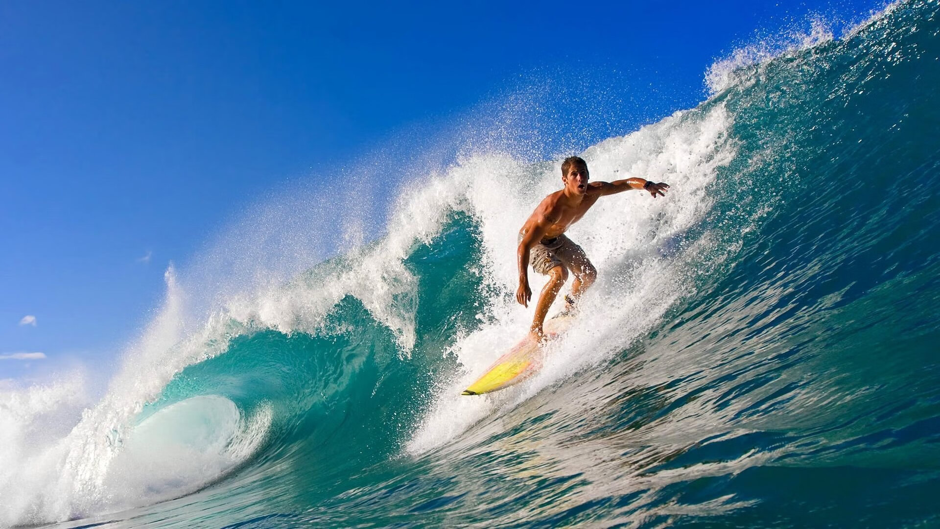 城市赛事志愿者招募攻略发布助力活动组织与准备,赛事志愿者和城市志愿者区别