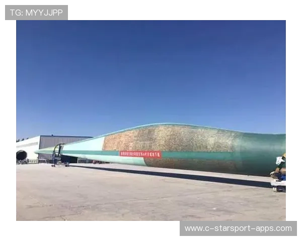 国家队落实青少年“体育+科技”创新示范工程，产学研深度结合的未来路径