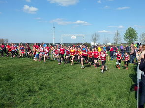 星空体育官网入口-青年体育人才培养月活动启动汇聚全国资源支持未来之星，青年体育教师培训心得体会